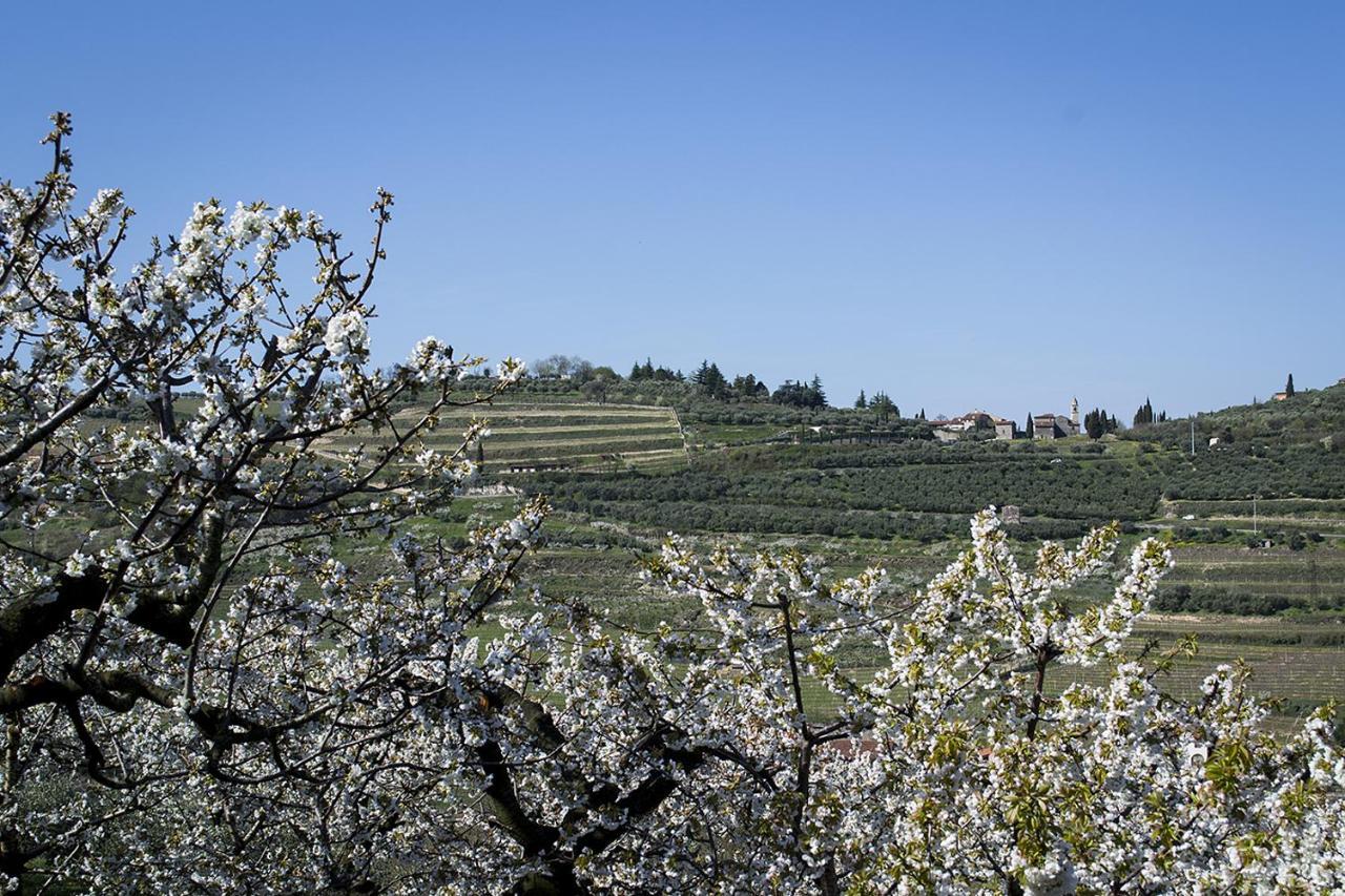 Villa Di Cazzano - Bioluxury Living Soave  Exteriör bild